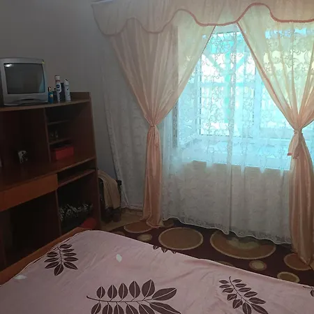 Ambient Mihaela